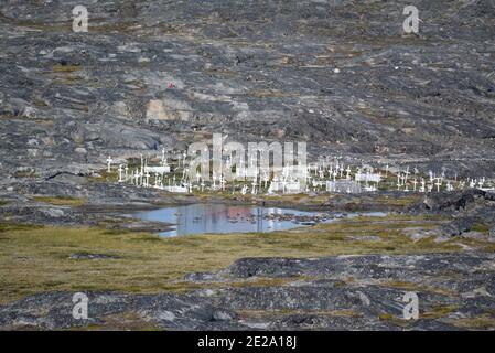 Illulissat, Groenlandia, luglio - cimitero e croci nel paesaggio della baia di Disko Foto Stock