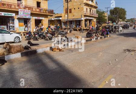 Jaisalmer, Rajasthan / India - 8 gennaio 2021 : la gente e le capre siedono su un divisorio stradale, la gente siede sul divisore nella luce solare diretta che aspetta la loro b Foto Stock