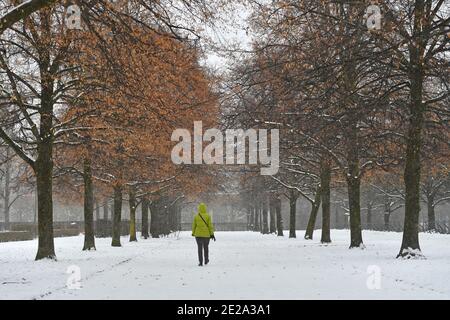 Foto a tema inverno nella pandemia del coronavirus. Estensione del blocco al 31 gennaio 2021, Città di Muenchen - vista del giardino cortile - solo una persona cammina su un percorso innevato il 12 gennaio 2021. | utilizzo in tutto il mondo Foto Stock