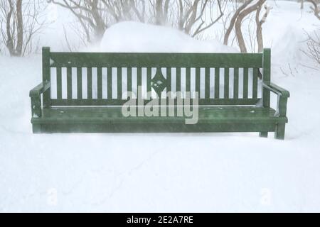 Panca del parco nella tempesta di neve, Helsinki, Finlandia. A causa di un'eccezionale nevicata nel gennaio 12-13, l'aeroporto di Helsinki Vantaa 2021 ha attualmente la copertura più profonda. Foto Stock