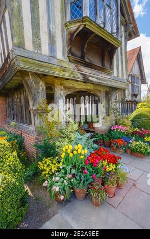 Fiori colorati presso il portico d'ingresso del Grande Dixter, una casa di campagna di Edwin Lutyens e giardino di Christopher Lloyd, Northiam, Sussex orientale Foto Stock