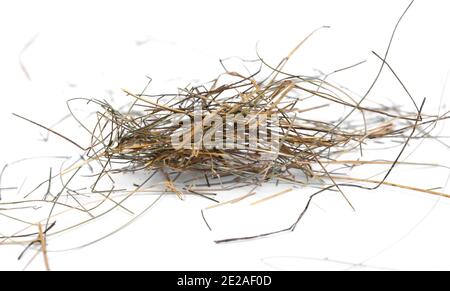 Mucchio di fieno isolato su sfondo bianco. Foto Stock