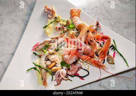 Gamberi e gamberi di mare calamari cozze molluschi langostine di pesce come un tavolozza di colori e sapori di mare su piatto bianco Foto Stock