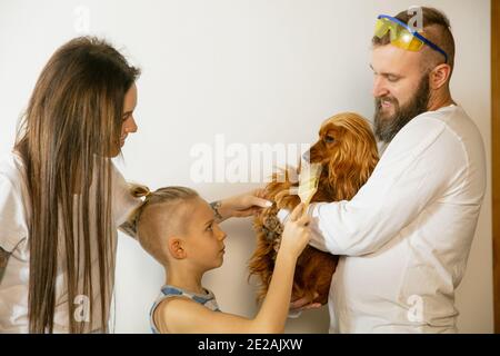 Giovane coppia, famiglia che ripara insieme l'appartamento. Madre, padre e figlio che fanno il makeover domestico o il rinnovamento. Concetto di relazioni, movimento, amore. Divertirsi con il cane, sorridendo Foto Stock