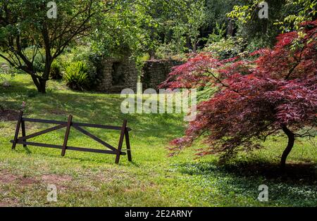 I Giardini di Ninfa, la città abbandonate, Cisterna di Latina, Lazio, Italia, Europa Italia Foto Stock