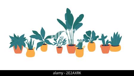 Piante di illustrazione vettoriale nella raccolta di pentole. Arredamento alla moda con piante, cactus, foglie tropicali. Fascio di piante in vaso trendy. Illustrazione Vettoriale
