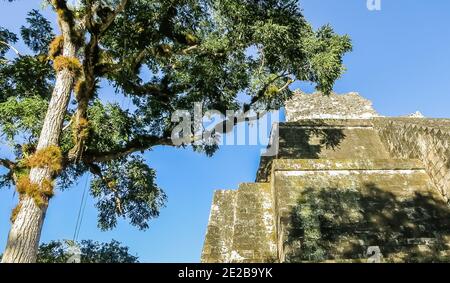 Tempio delle Maschere, El Petén, Grand Plaza, il Parco Nazionale di Tikal, Yucatan, Guatemala Foto Stock