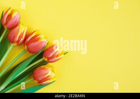 Tulipani su sfondo giallo. Biglietto d'auguri. Giorno della mamma. Disposizione piatta. 8 marzo Happy Women's Day. Molla Foto Stock