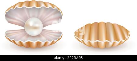 Vettore bella perla conchiglia insieme di icone Illustrazione Vettoriale