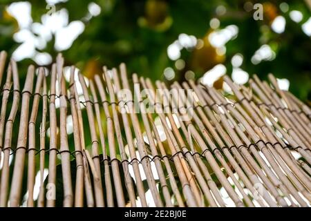 Una recinzione fatta di ramoscelli in giardino Foto Stock