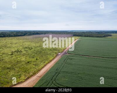 Vista aerea dei droni della piantagione di soia nella fattoria di soia, strada sterrata e area di deforestazione nella foresta amazzonica, Brasile. Concetto di ecologia, conservazione. Foto Stock