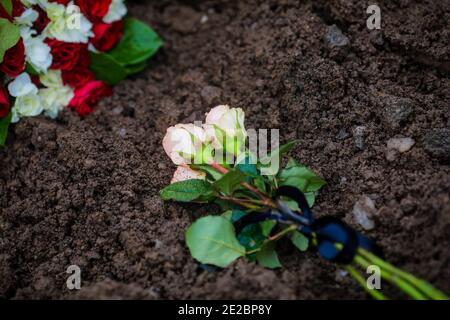 Dettagli con rose bianche su un fresco sporco grave, durante una fredda giornata invernale. Foto Stock