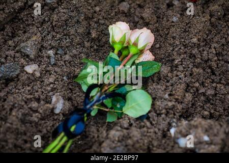 Dettagli con rose bianche su un fresco sporco grave, durante una fredda giornata invernale. Foto Stock