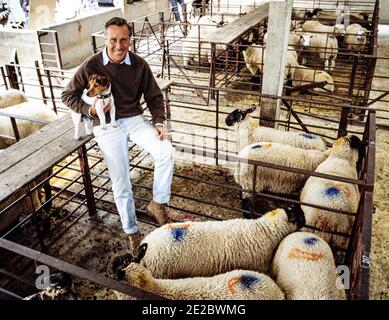 HERTFORD - INGHILTERRA 1986. Frederick McCarthy Forsyth (romanziere) in posa per la macchina fotografica durante la visita Hertford mercato delle pecore e del bestiame nel 1986. Foto di G Foto Stock