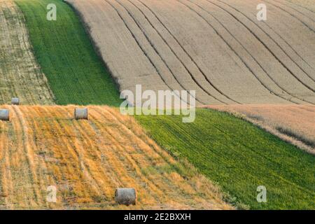 Vista idilliaca delle balle di paglia sui campi ondulati vicino a Kyjov, distretto di Hodonin, regione della Moravia meridionale, Moravia, Repubblica Ceca Foto Stock