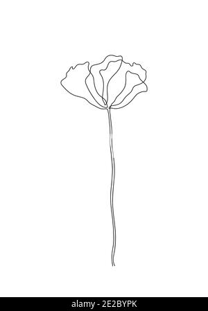 Linea art-Poppy fiore disegno minimalista contorno. Disegno a una linea, motivo floreale per disegnare arte lineare su sfondo bianco. Foto Stock