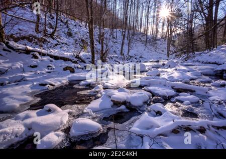 Fiume di foresta ghiacciata che scorre in profondità dalle montagne di Tarcului al tramonto, contea di Banat, Romania. Foto scattata il 12 gennaio 2020. Foto Stock
