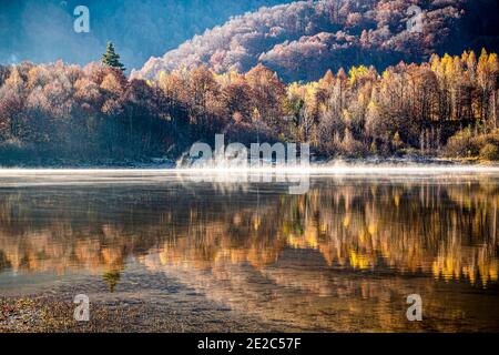 Poiana Marului riva lago riflesso in una perfetta simmetria durante una misty mattina di autunno. Foto scattata il 15 novembre 2020 nella riserva di Poiana Marului Foto Stock