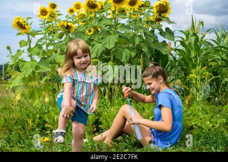 Due bambini sorridenti felici nel campo di girasoli ridono e soffiano bolle. Estate nel villaggio. Foto Stock