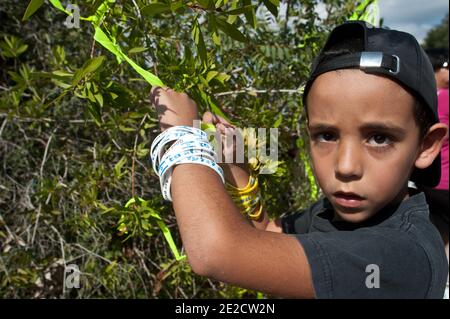 Un bambino che indossa braccialetti con l'iscrizione 'sono anche Gilad' lega un nastro giallo (simbolo della lotta per liberare Gilad Shalit) negli ulivi della casa della famiglia di Shalit a Mitzpe Hita. Migliaia di israeliani erano venuti nel fine settimana alla casa della famiglia di Shalit?s nel piccolo villaggio di Mitzpe Hila nel nord Israele, a expresse là gioia per l'atteso rilascio di Gilad Shalit martedì prossimo, 15 ottobre 2011. La famiglia del soldato dell'IDF rapito Gilad Shalit, è arrivata mercoledì sera a casa loro dopo aver lasciato il sito di protesta in cui erano stati accampati a Gerusalemme. Israele e ha Foto Stock