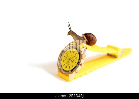 Orologio da polso giallo e lumaca isolato su bianco. orologio mani. Concetto di tempo, lento, attesa, gestione del tempo. Spazio di copia Foto Stock