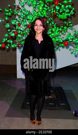 Nathalie Rykiel pone accanto al suo 'albero' prima della vendita all'asta di stilisti di moda alberi di Natale, organizzato a beneficio dell'associazione 'A.V.E.C' (Association pour la vie - Espoir contre le Cancer) per la ricerca contro il cancro dal professor David Khayat presso l'Hotel Salomon de Rothschild, il 01 dicembre; 2011 a Parigi, Francia. Didascalia locale Nathalie Rykiel Foto di Edouard Bernaux/ABACAPRESS.COM Foto Stock