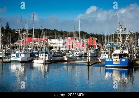 WA19132-00...WASHINGTON - le barche da pesca e charter allacciate al molo nel porto di Illwaco situato sul fiume Columbia. Foto Stock