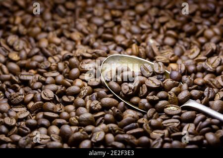 Chicchi di caffè appena tostato interi da vicino con un cucchiaio di metallo in esso. Foto Stock