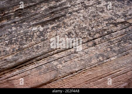 Stresks diagonali di strati di arenaria nel Capitol Reef National Park Foto Stock