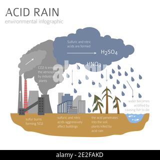 Problemi ambientali globali. Infografica sulla pioggia acida. Illustrazione vettoriale Illustrazione Vettoriale