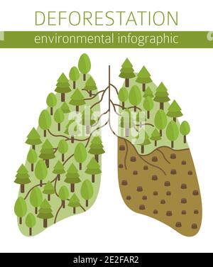 Problemi ambientali globali. Infografica sull'esaurimento delle risorse fondiarie. Deforestazione. Illustrazione vettoriale Illustrazione Vettoriale