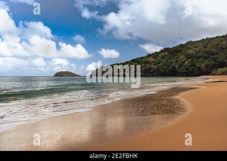 Plage de la Perle, Guadalupa - Francia Foto Stock