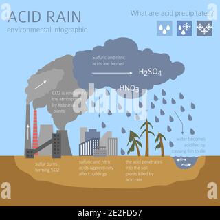 Problemi ambientali globali. Infografica sulla pioggia acida. Illustrazione vettoriale Illustrazione Vettoriale