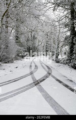 Neve coperta strada alberata nel mese di dicembre. Vicino Upper Slaughter, Cotswolds, Gloucestershire, Inghilterra Foto Stock