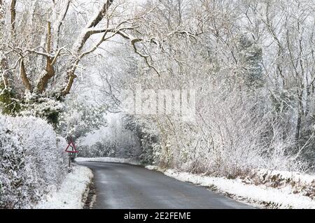 Neve coperta strada alberata nel mese di dicembre. Vicino a Chipping Campden, Cotswolds, Gloucestershire, Inghilterra Foto Stock