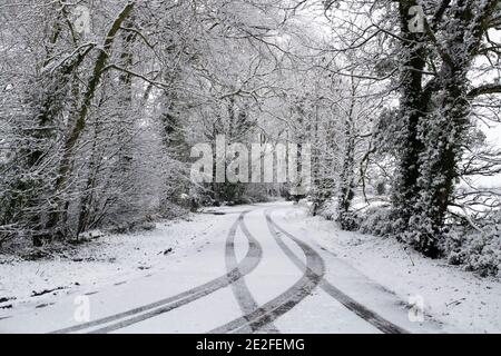 Neve coperta strada alberata nel mese di dicembre. Vicino Upper Slaughter, Cotswolds, Gloucestershire, Inghilterra Foto Stock