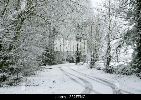 Neve coperta strada alberata nel mese di dicembre. Vicino Upper Slaughter, Cotswolds, Gloucestershire, Inghilterra Foto Stock