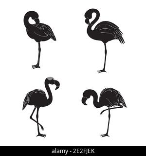 Silhouette nera di tre fenicotteri su sfondo bianco Illustrazione Vettoriale