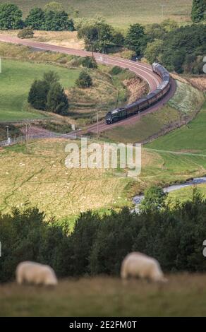 Il servizio di treno a vapore si avvicina a Stow ai confini scozzesi oggi , poiché la nuova ferrovia delle frontiere beneficia dei servizi turistici di treno a vapore che RU Foto Stock