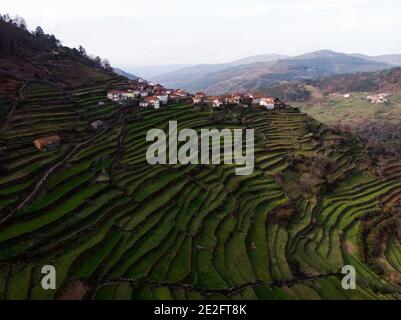 Panorama aereo di verdi terrazze agricole tradizionale antico remoto campagna rurale montagna pendii paese Padrao porta Cova, Ar Foto Stock