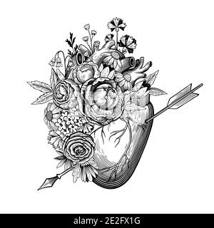 Vintage illustrazione del cuore trafitto da una freccia in stile incisione con fiori retrò. Disegno vettoriale in bianco e nero. Illustrazione Vettoriale