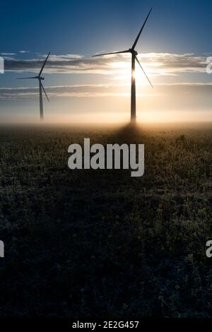 Due turbine eoliche nella nebbia di mattina presto all'alba Nella campagna inglese che getta lunghe ombre Foto Stock