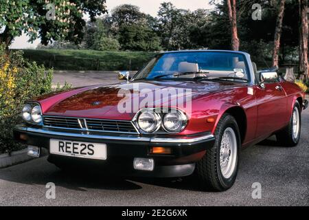 Jaguar XJS rosso convertibile C. 1991 Foto Stock