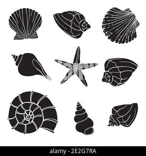 Collezione Shell. Set vettoriale con conchiglie e stelle marine per la progettazione Illustrazione Vettoriale