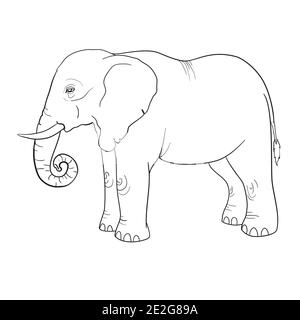 schizzo disegnato a mano dell'illustrazione dell'elefante asiatico fatto in nero inchiostro e isolato su sfondo bianco Illustrazione Vettoriale