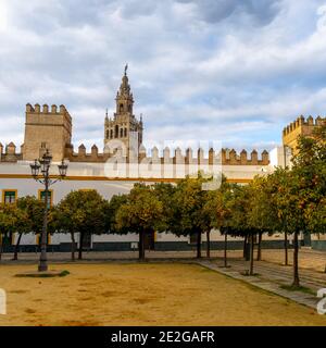 Vista sullo storico patio de Banderas di Siviglia con la cattedrale sullo sfondo Foto Stock