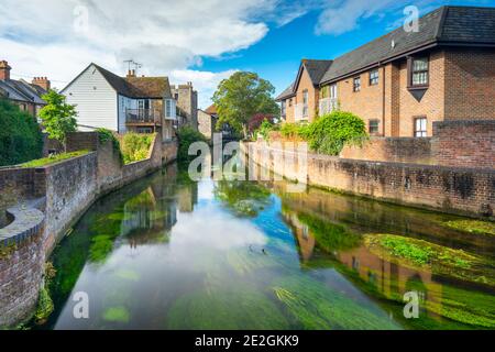 Il fiume Stour a Canterbury, Kent. Foto Stock