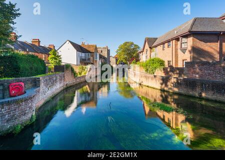 The River Stour in Canterbury, Kent. Foto Stock