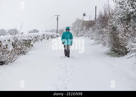 Teesdale, County Durham, Regno Unito. 14 gennaio 2021. Regno Unito Meteo. Una donna affronta la pesante nevicata per fare una passeggiata a Teesdale, nella contea di Durham questa mattina. Credit: David Forster/Alamy Live News Foto Stock