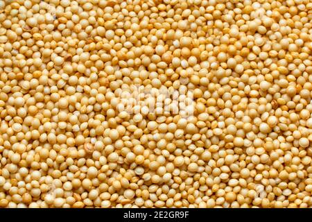 Primo piano di semi di Amaranthus per sfondo. Foto Stock